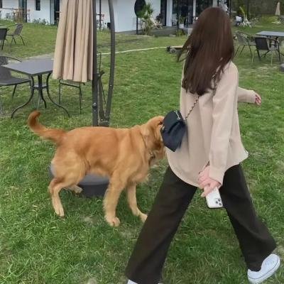 人间蒸发