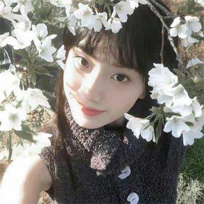 战争姐妹